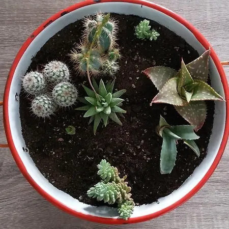 Donatella Vakantiehuis