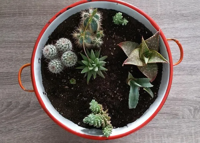 Donatella בית נופש